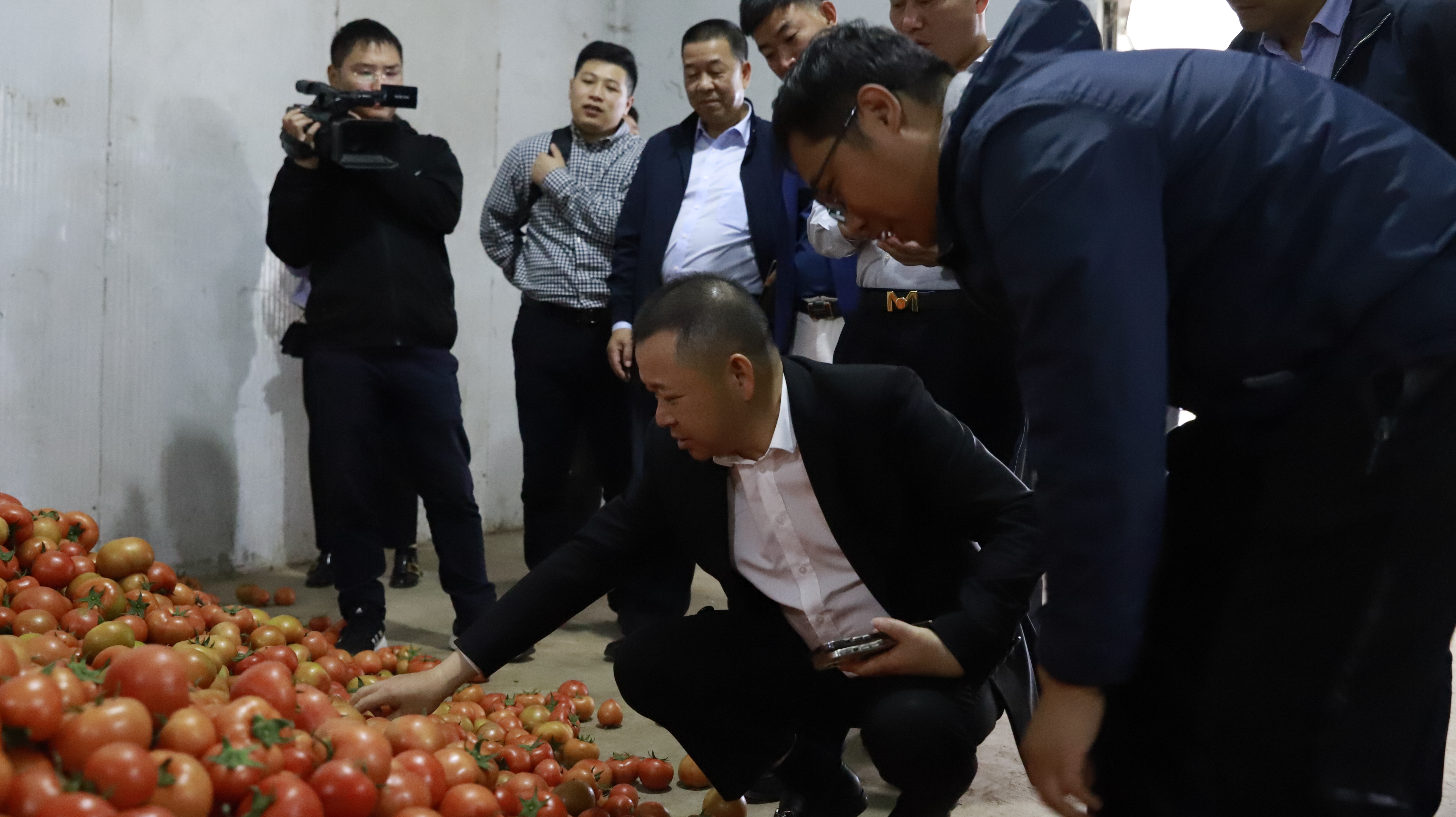 1683682334579272.jpg 1683682334579272.jpg